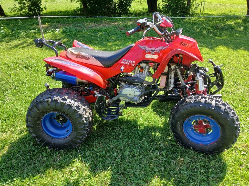 Quad bashan 250-11b