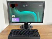 Benq GL2450-T lcd