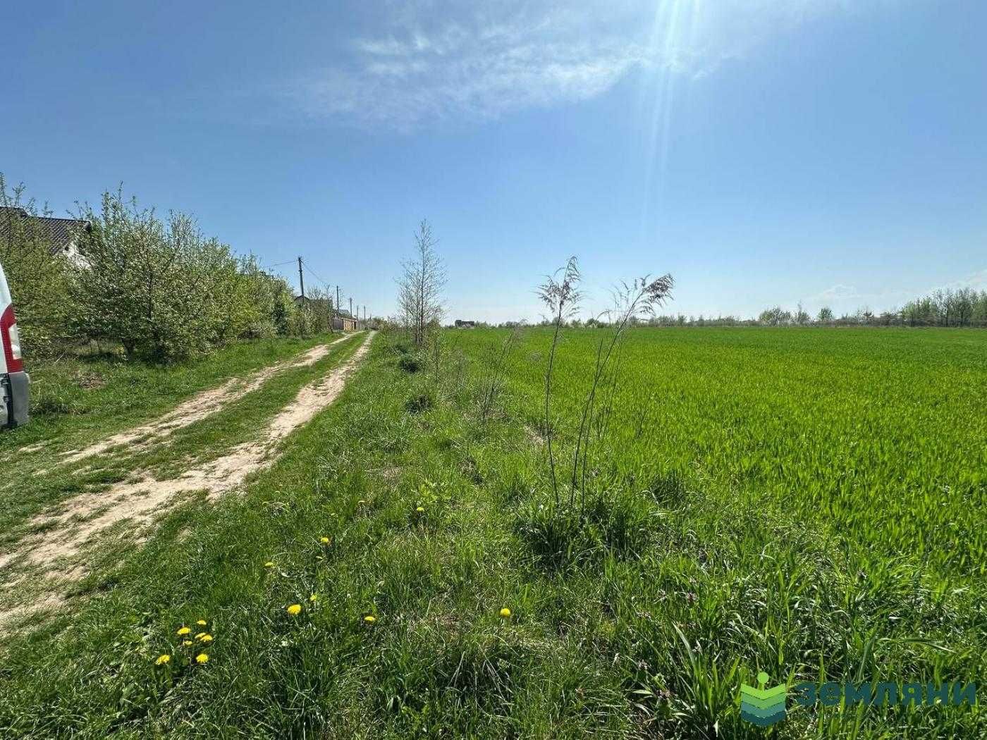 Продається земельна ділянка в Чукалівці