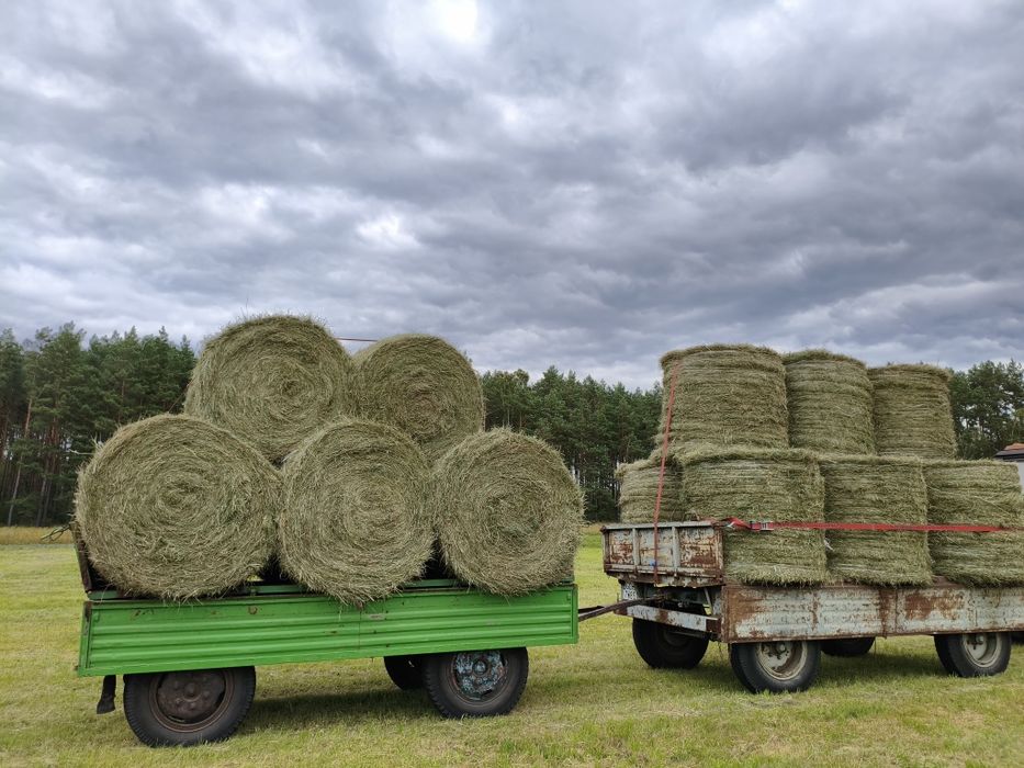 Siano SUPER JAKOŚĆ 130x120 po pasówce 1 i 2 pokos oraz sianokiszonka 2