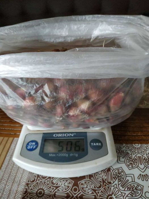 Лук многоярусный