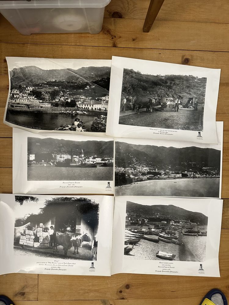 Lote fotografias antigas Madeira