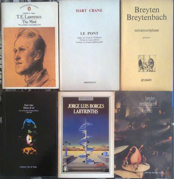76 livros: Burroughs/ Miller/ Breytenbach/ J. Rulfo/Matthiessen/Borges