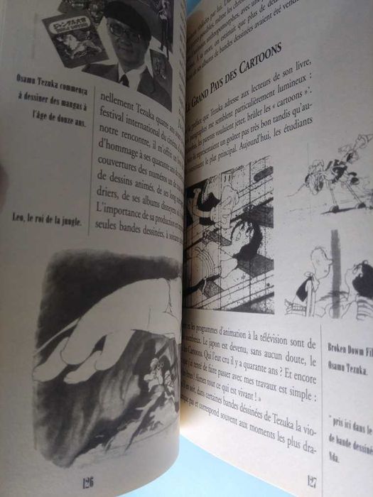 Les Ames Dessinées : du Cartoon aux Mangas Paperback – Luca Raffaelli