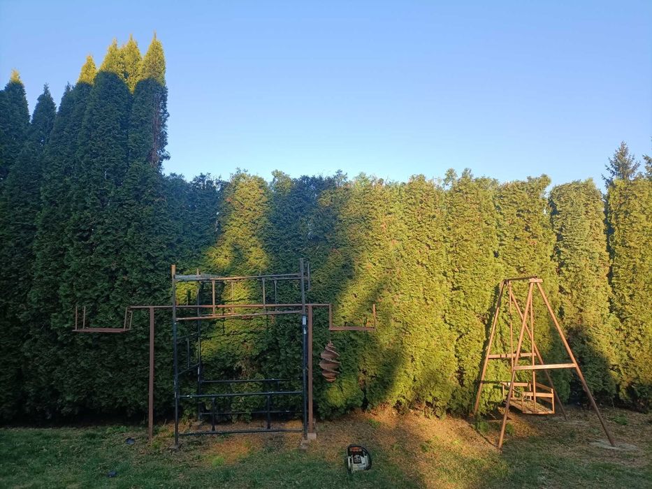 Wycinka drzew, prace alpinistyczne, zrębkowanie gałęzi