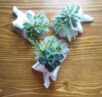 Весільні бутоньєрки із живих рослин сукулентів