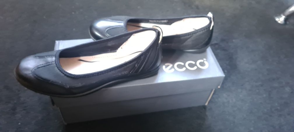 Baleriny roz.  36 Ecco nowe