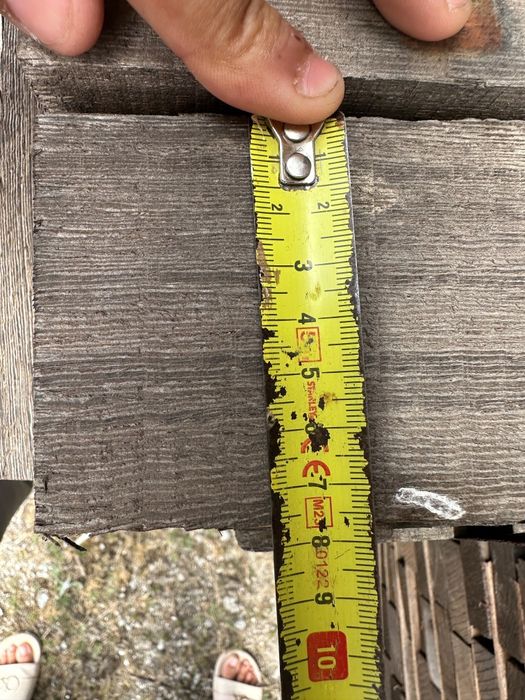 Madeira Exótica - Kambala