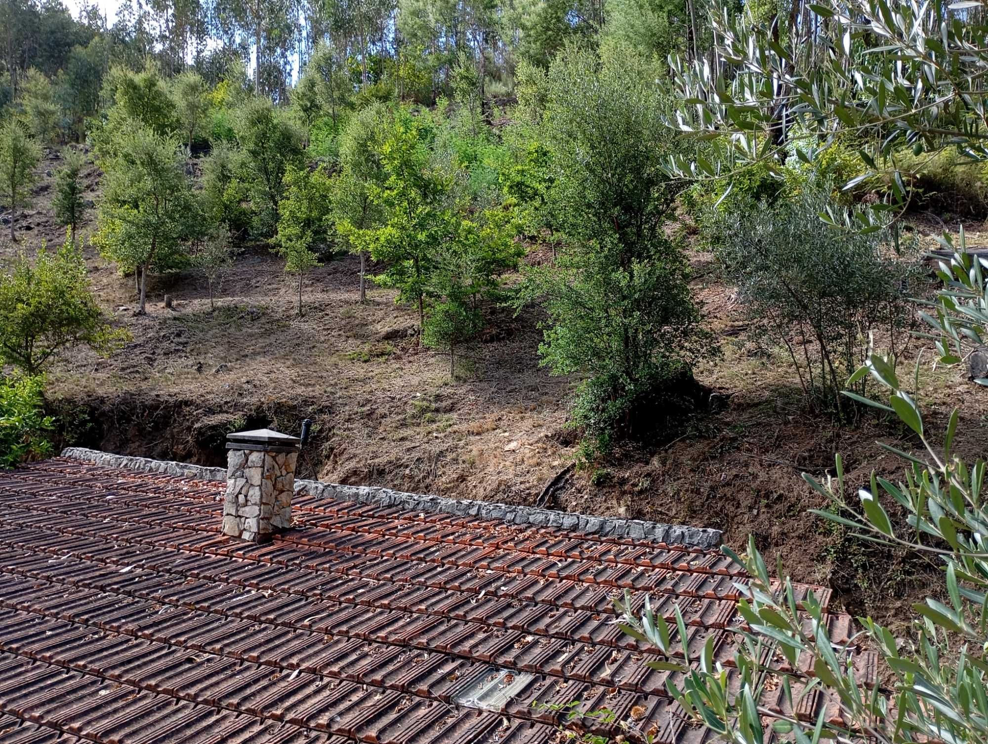 Limpeza de terrenos