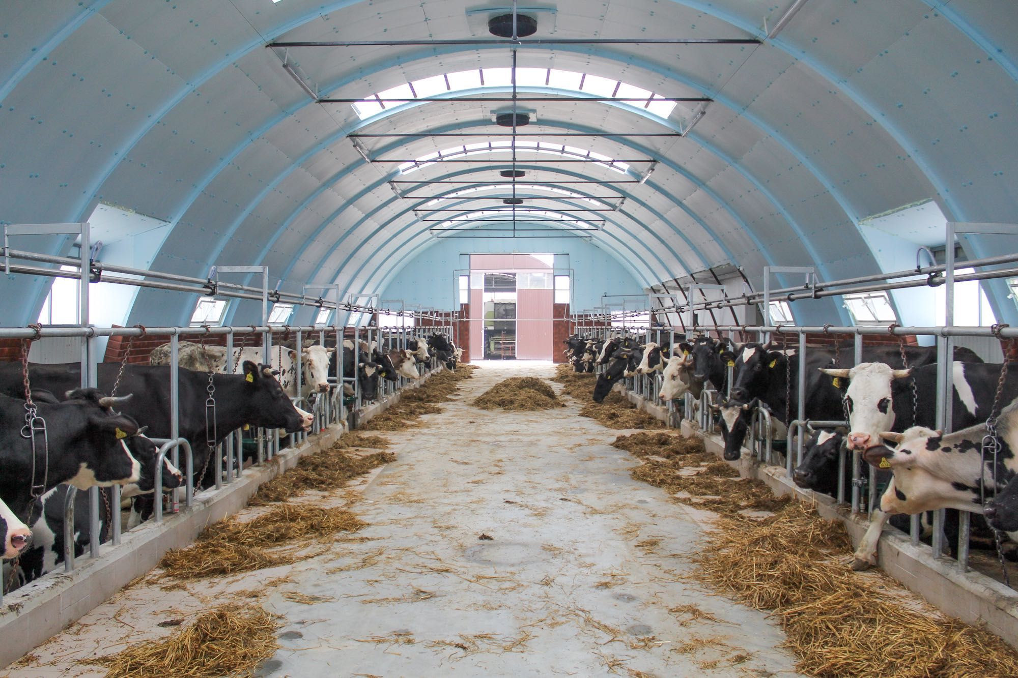 Płyty Styrodur XPS AGRO Izolacja Ocieplenie Hali Łukowej Tunelowej