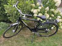 Rower męski Gazelle roz.ramy 57