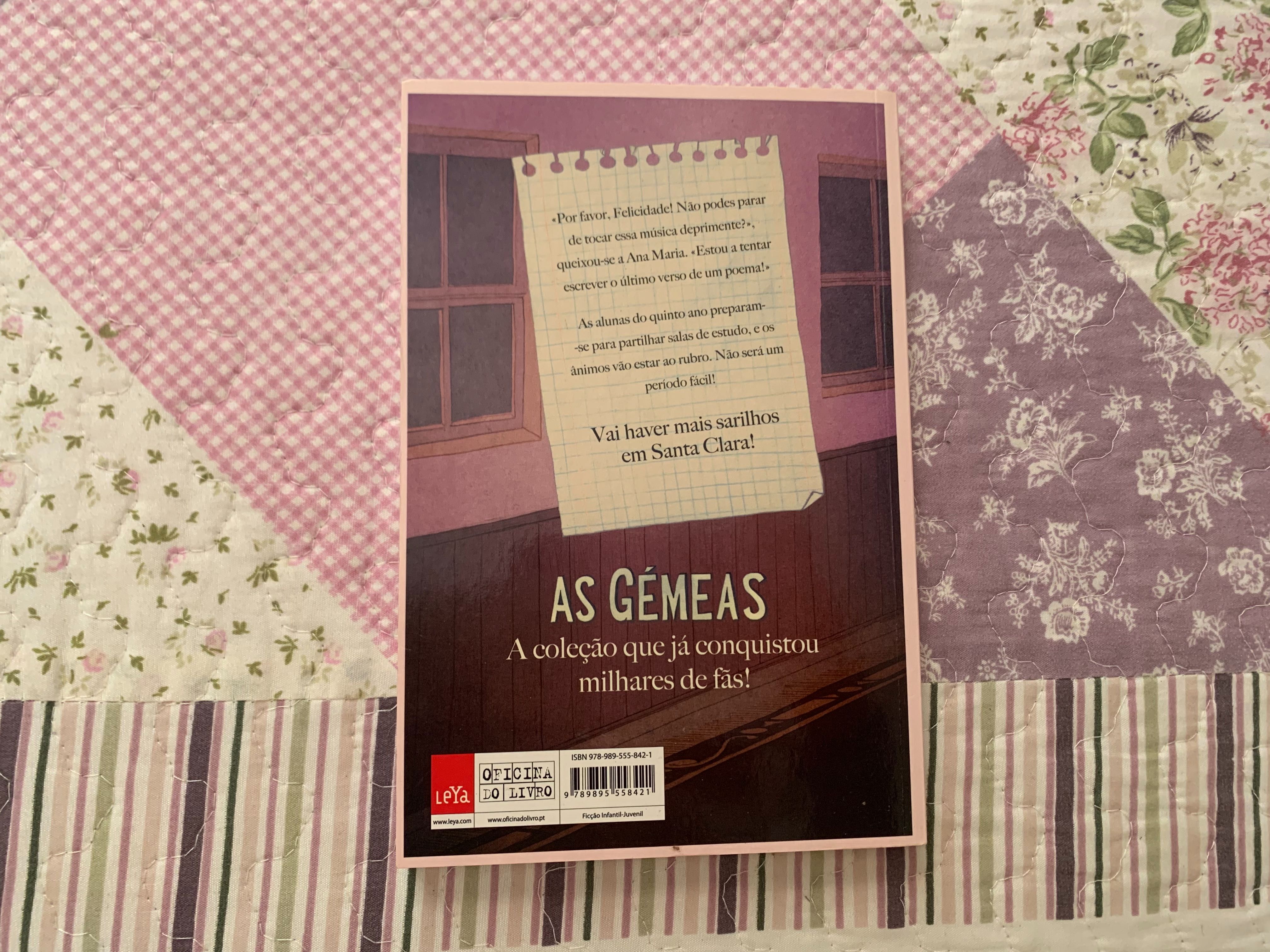 Livro juvenil - “AS GÉMEAS, o quinto ano em Santa Clara”