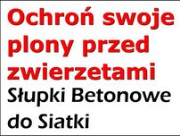 Słupki betonowe do siatki leśnej | Siatka leśna  a+