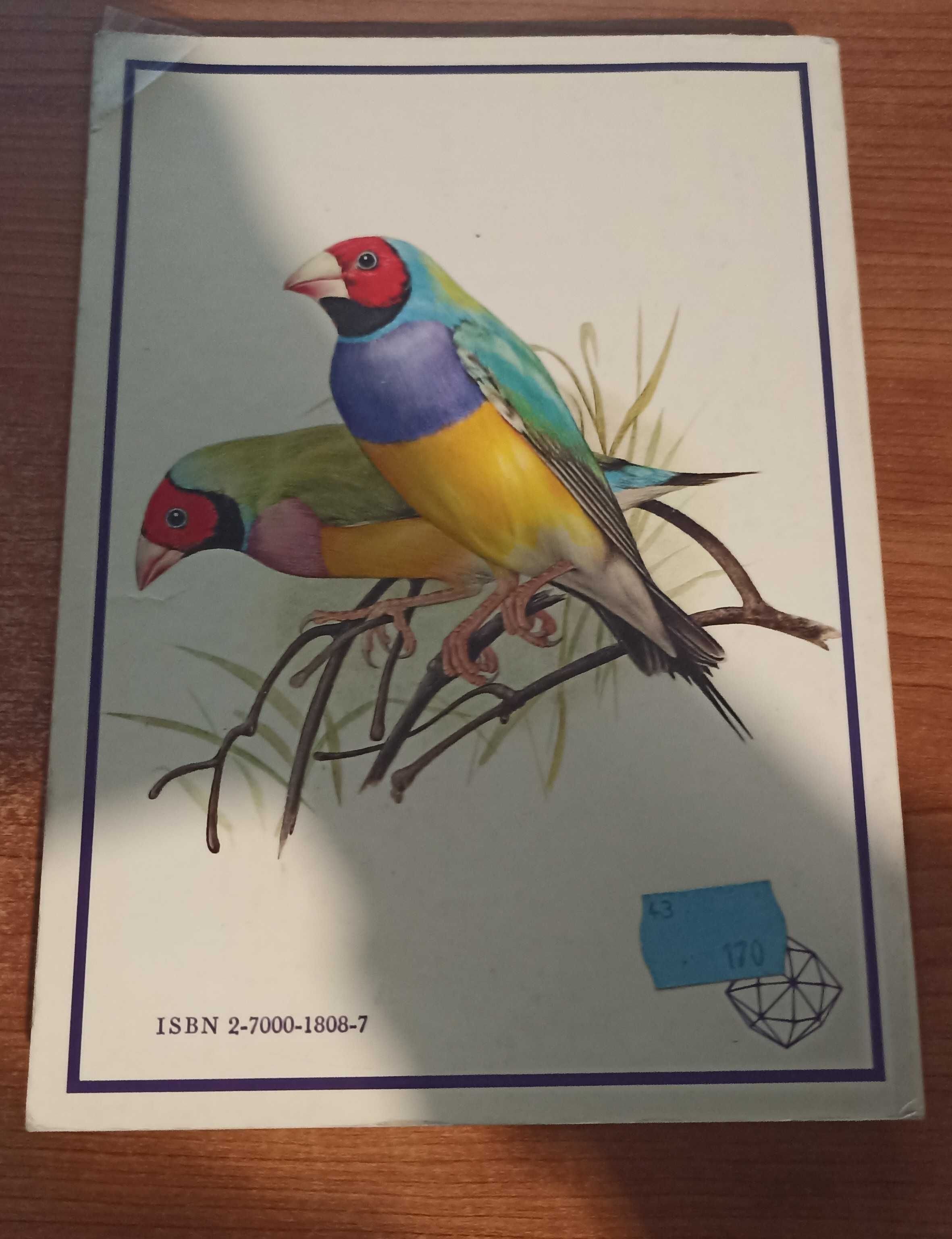 Oiseaux de cage et de volière