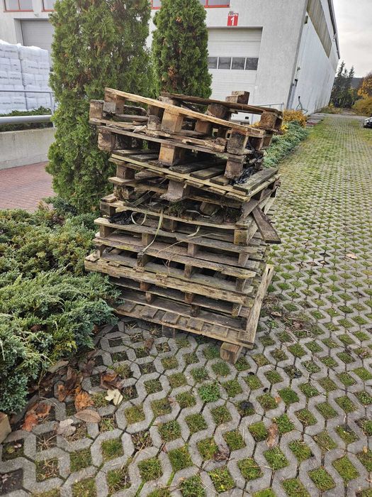 Oddam drewno uszkodzone