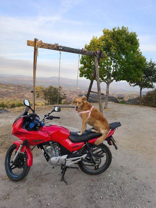 Mota Yamaha YBR 2006