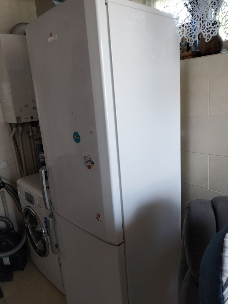 Холодильник Beko