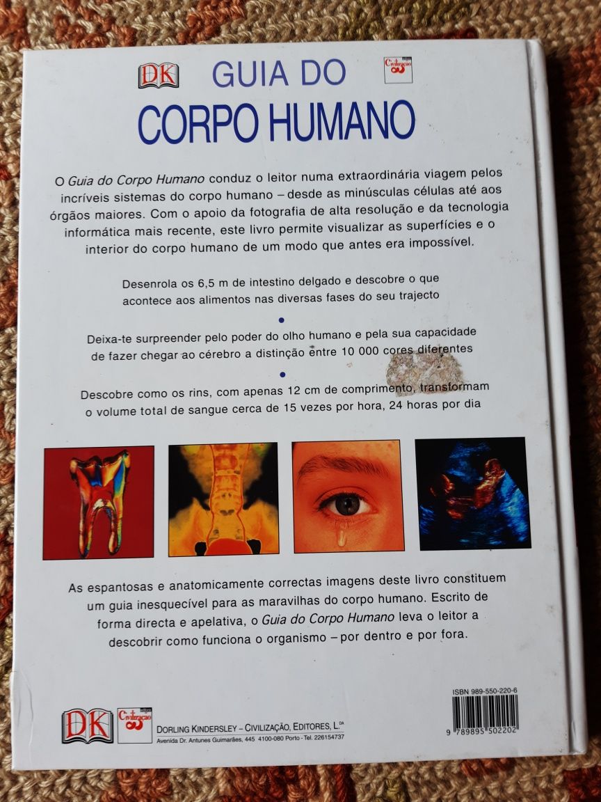 O corpo humano, educar e instruir, criatividade