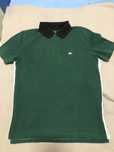 Koszulka polo meska Lacoste 176