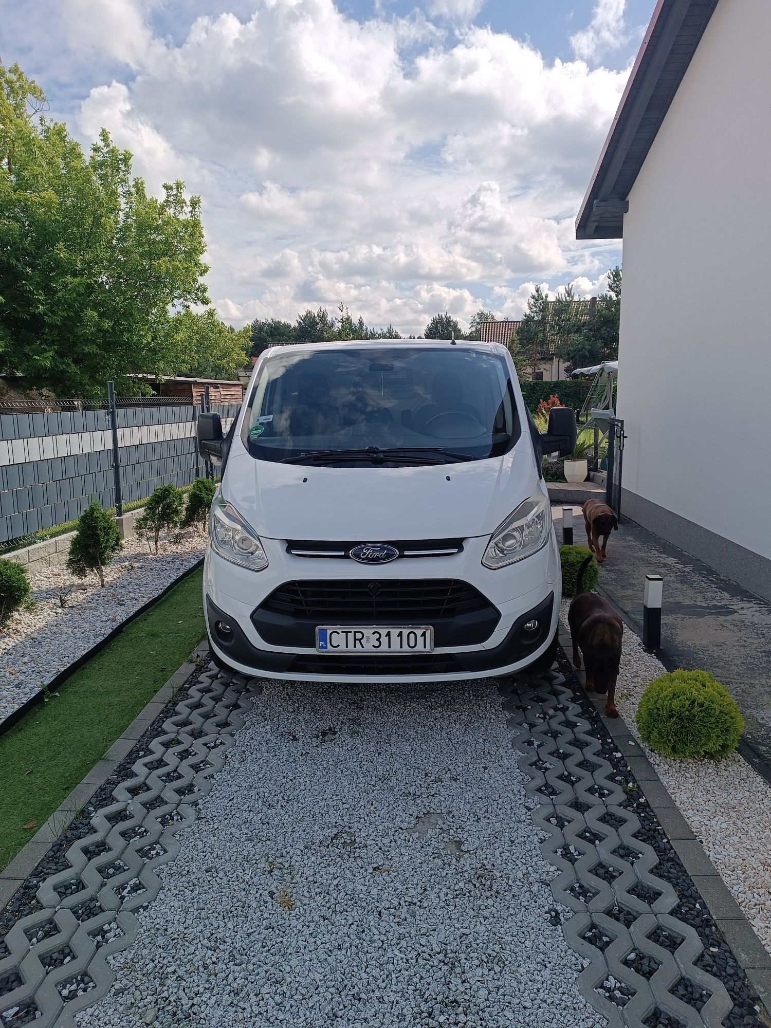 Ford Transit custom 2.2 TDCI   (156 KM)