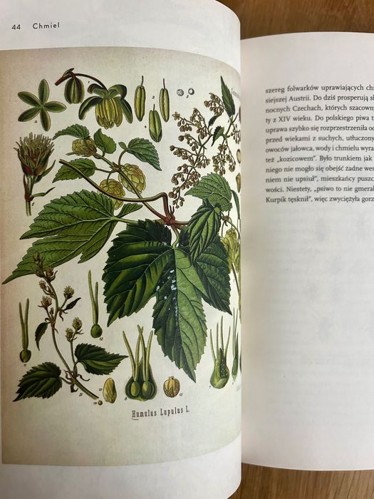 Simona Kossak o ziołach i zwierzętach