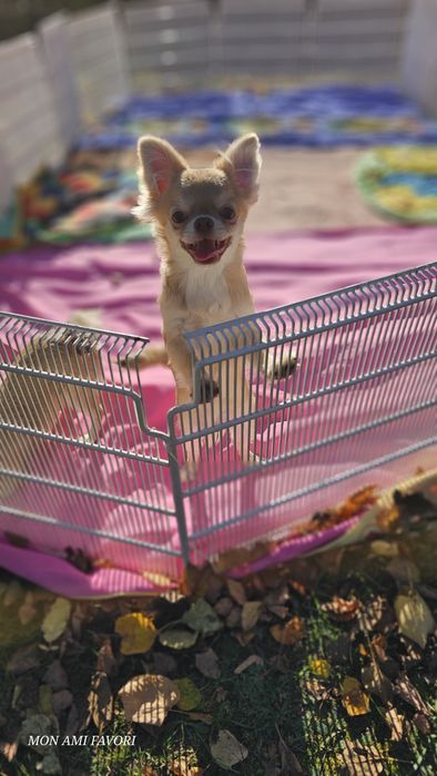 Дуже гарнюній хлопчик з документами КСУ