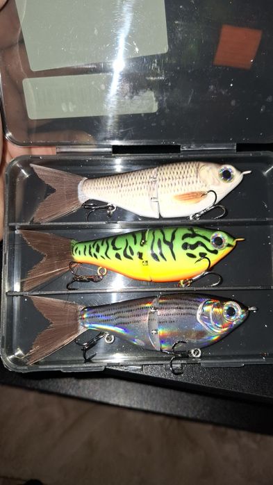 Woblery szczupak sandacz