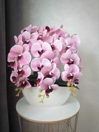 Орхідея латексна, латексная орхидея