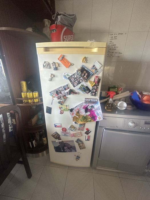 Arca congeladora vertical / carga de gás nova