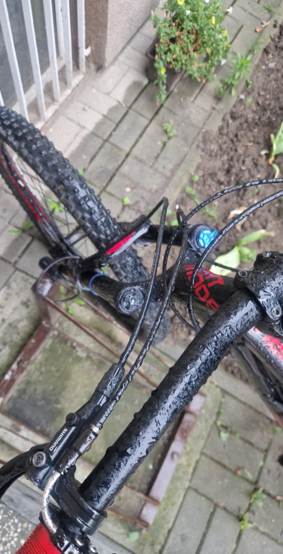 Rower enduro Dartmoor Blackbird Intro 27.5 2021