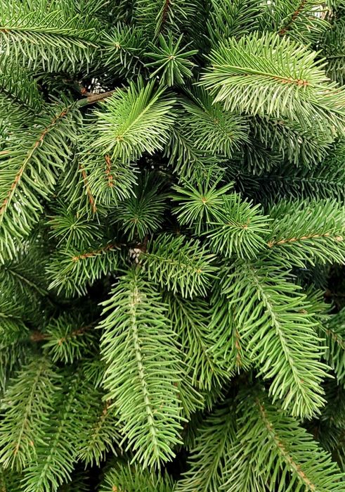 Ялинка штучна 2.1 м