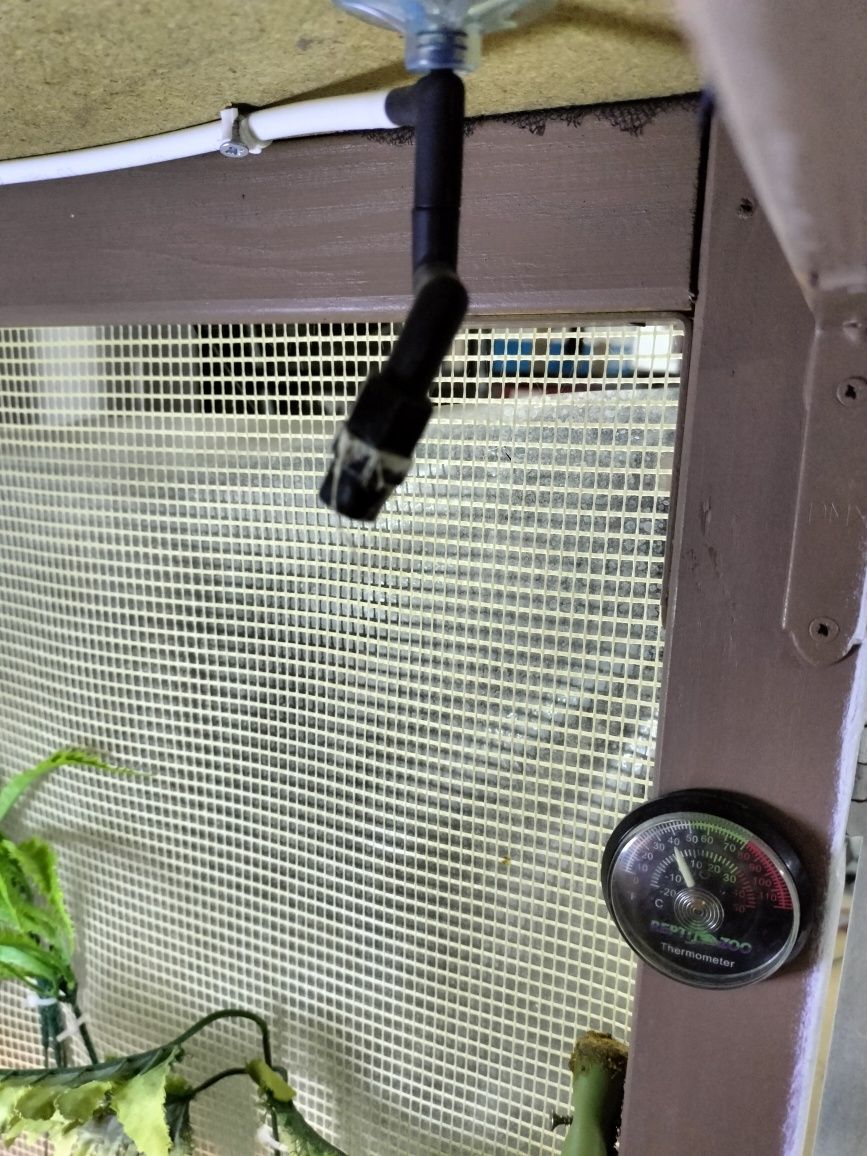 Terrarium kameleon