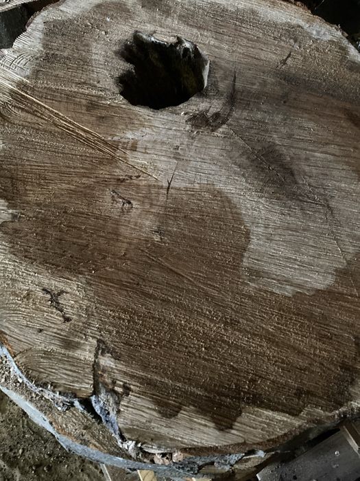 Plastry drzewa 80-90 cm