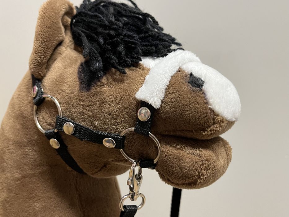 Konik zabawka (Hobby Horse)