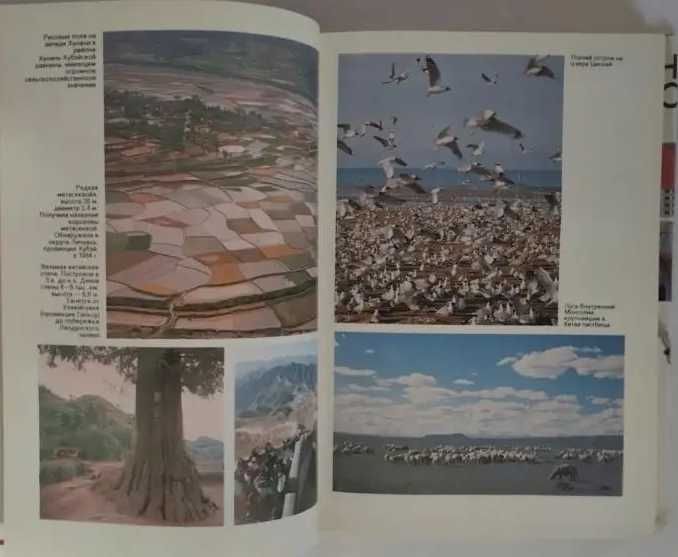 Книга Энциклопедия нового Китая. Кузнецов А. 1989год