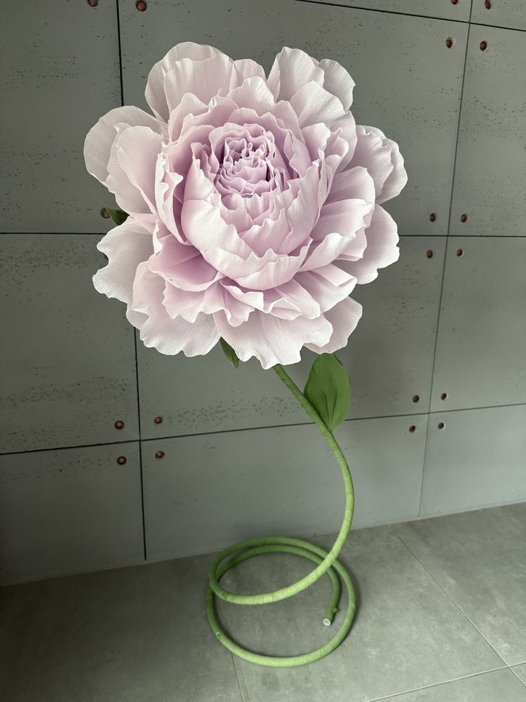 Piwonia z krepiny