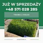 Trawa z rolki premium