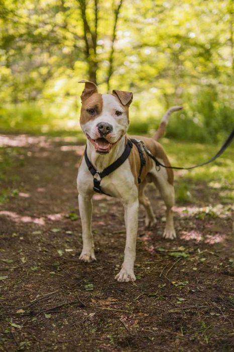 Drops szuka swojego miejsca :)