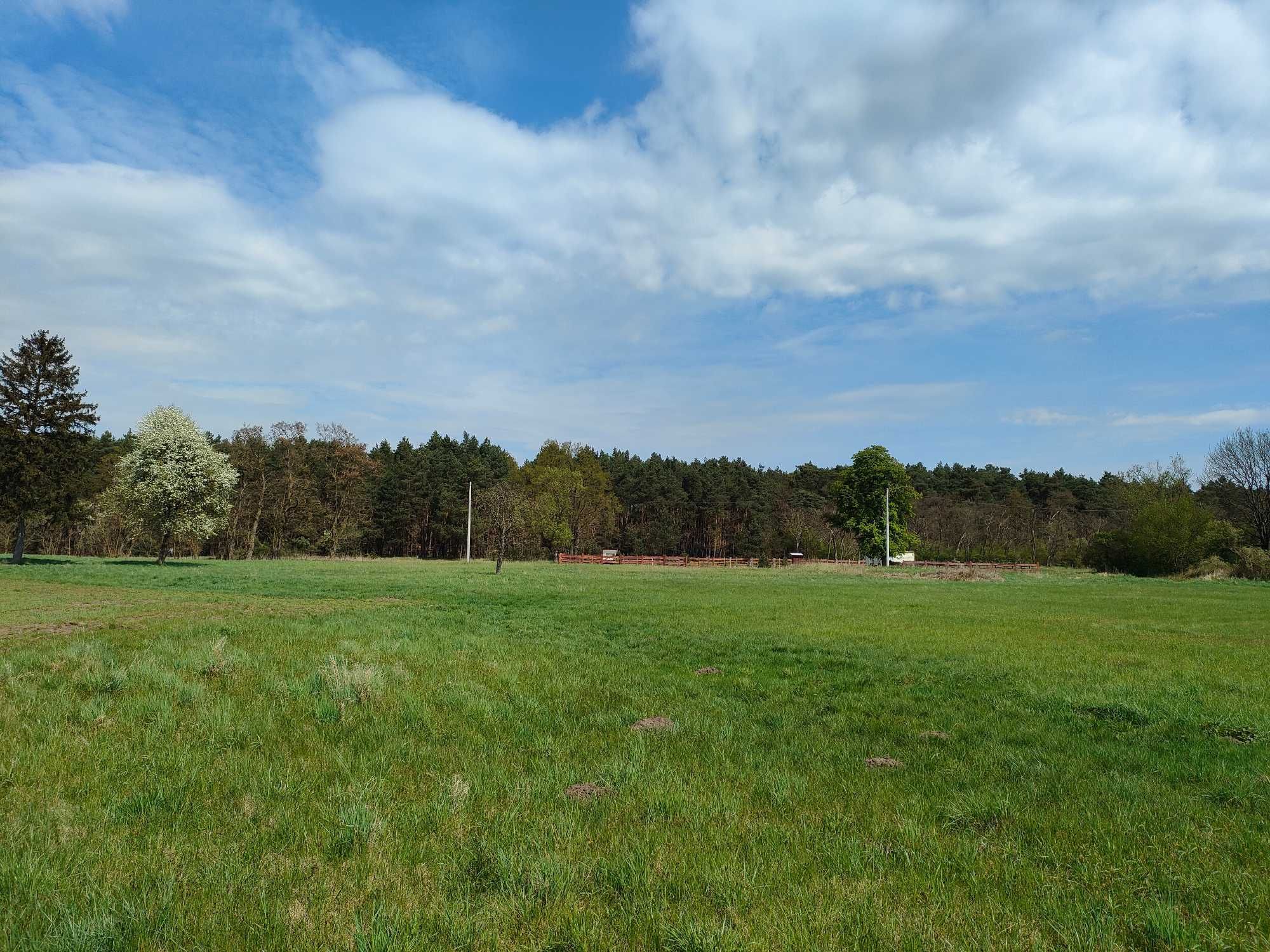 Działka 1000m2 sprzedam