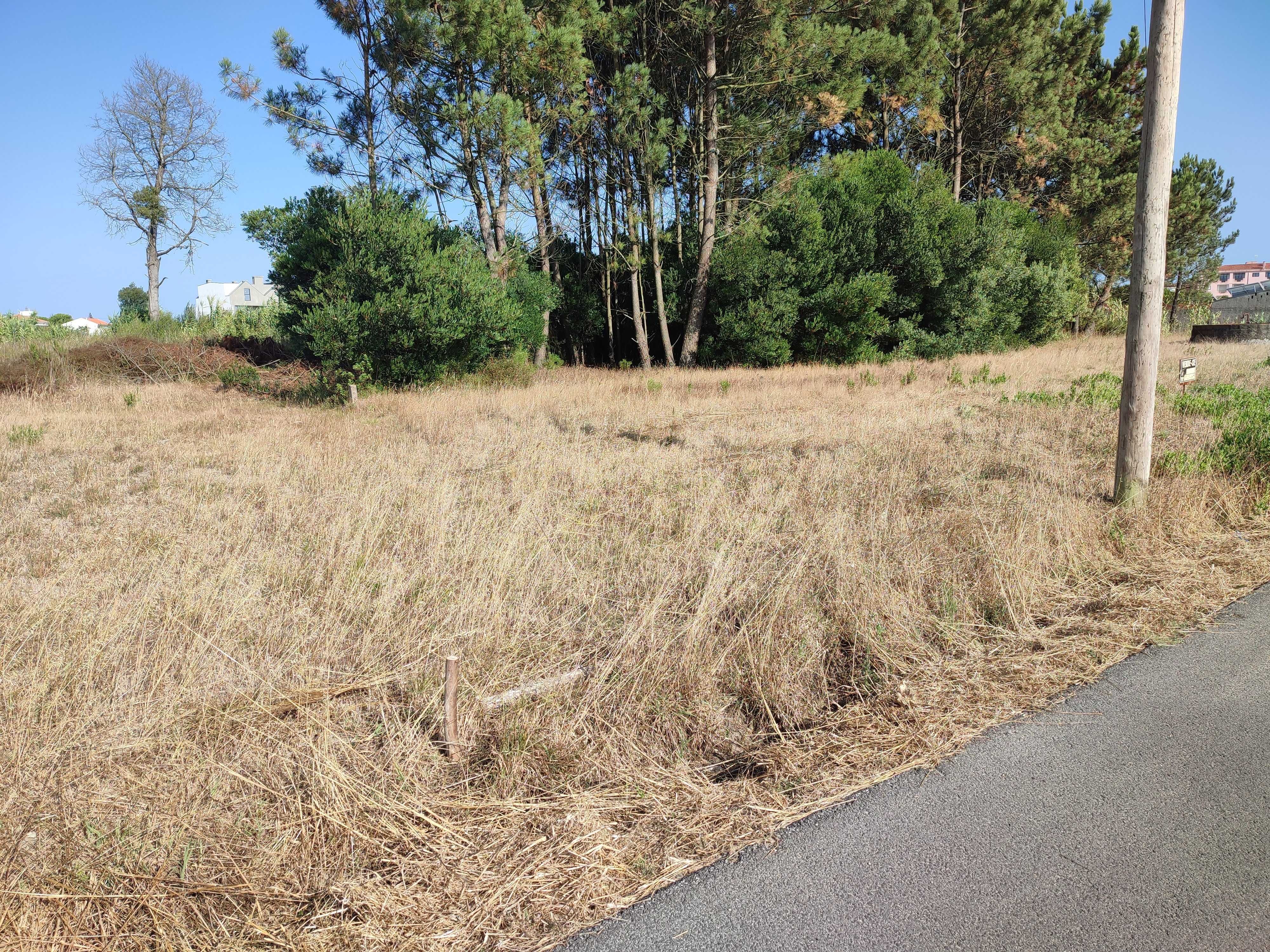 Terreno para Construção no Centro de Mira