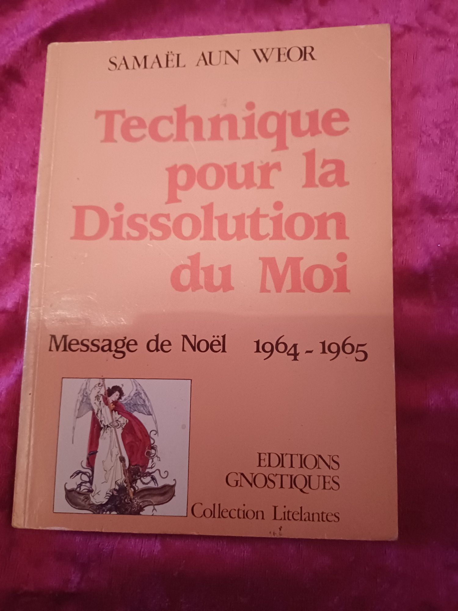 Technique pour la dissolution du moi