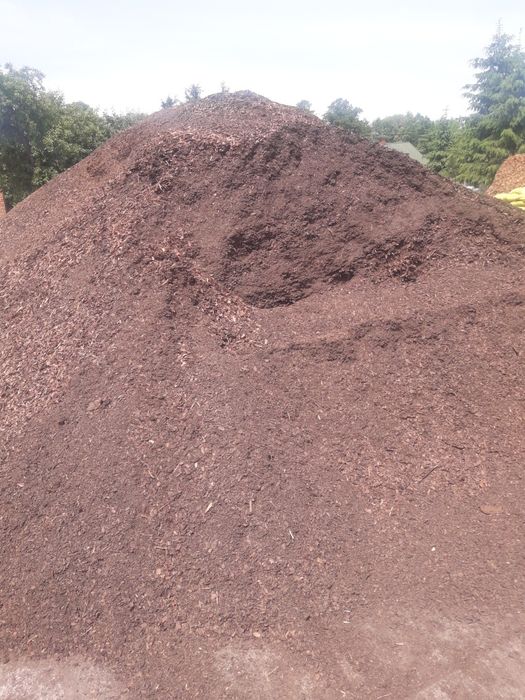 Kora sosnowa sortowana  luzem dostawą 10-15m3
