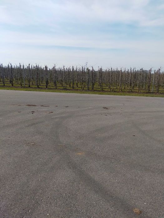 SIATKA  MOCNA zabezpieczająca  przeciw ptakom ,osłaniająca od GRADU.