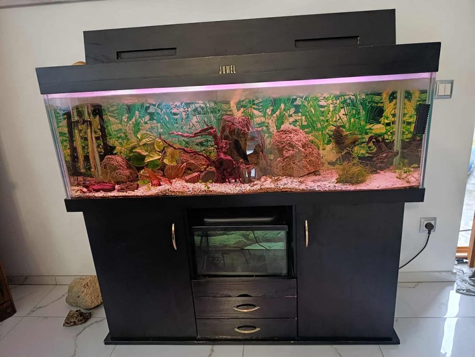 Akwarium Juwel zestaw