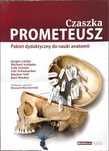 Czaszka PROMETEUSZ - Pakiet dydaktyczny do nauki anatomii