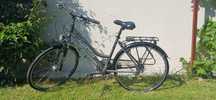 Rower trekkingowy 2.0  Sektor