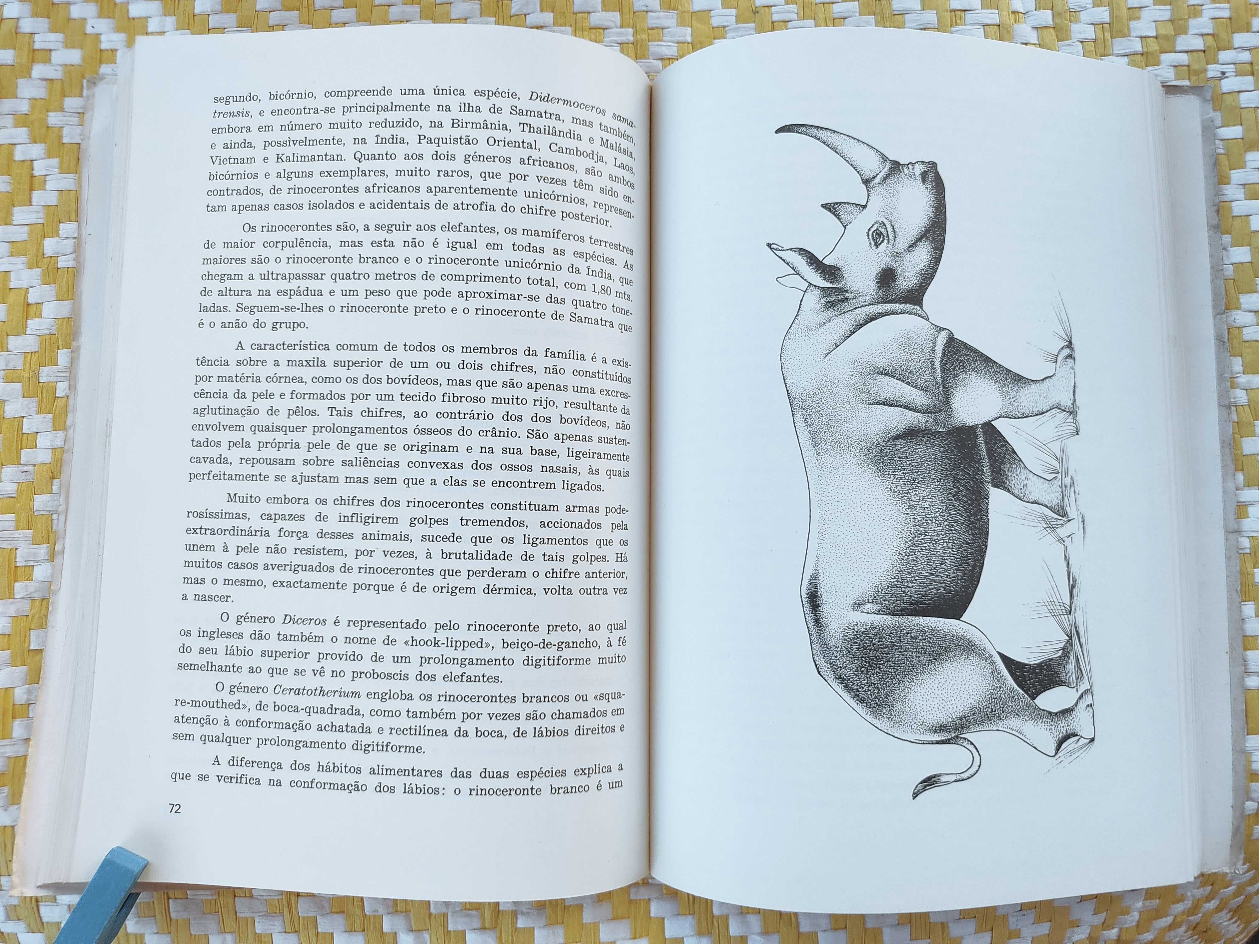 A Grande Fauna Selvagem de Angola
De S. Newton da Silva