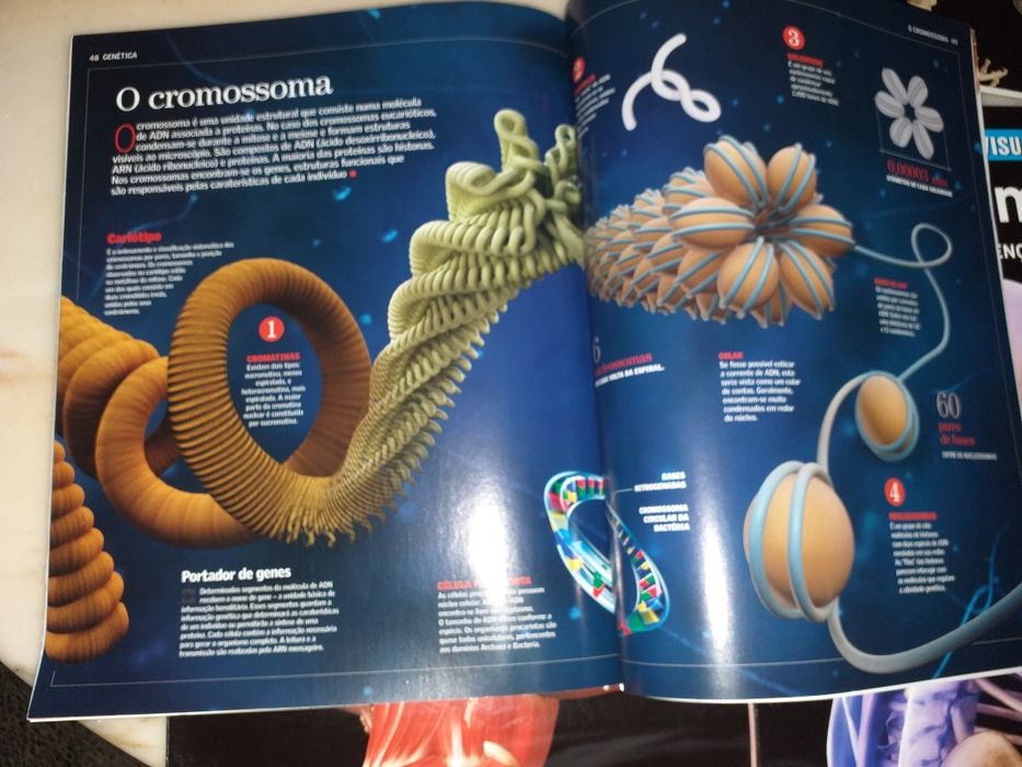 Livros sobre o Corpo Humano