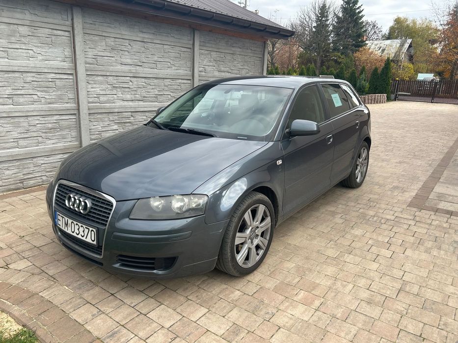 Audi A3 Sportback Audi A3 8P 1.9 TDI