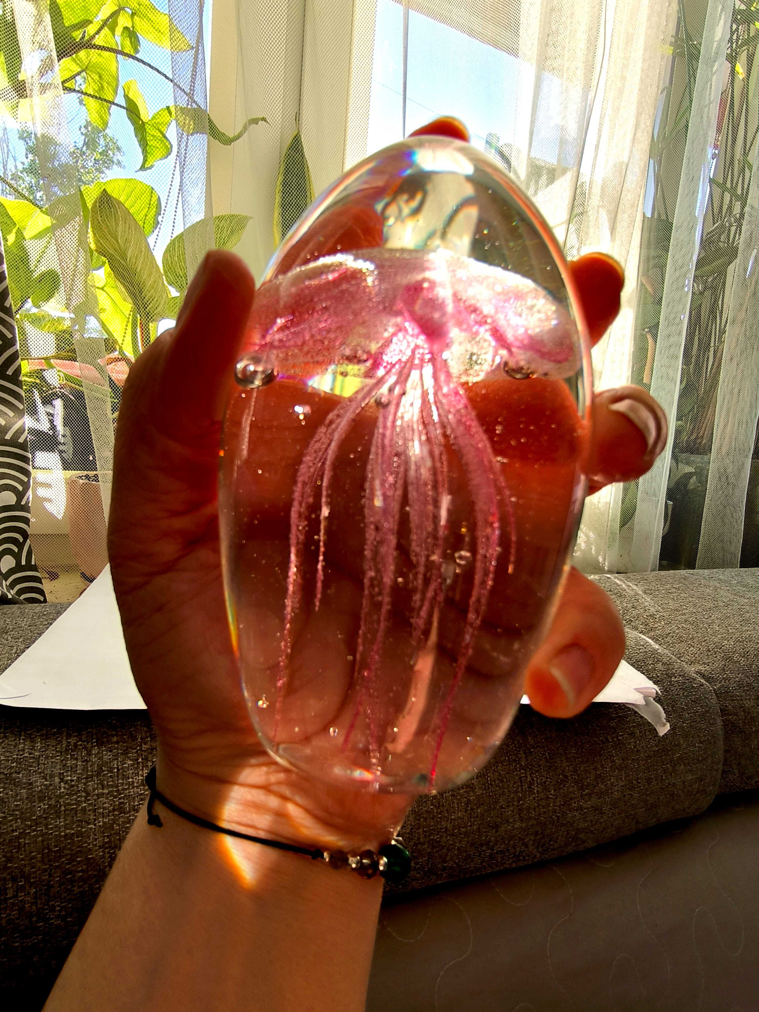 Szklana meduza, meduza w szkle
